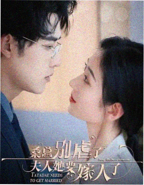 雪线之下纪实剧集图鉴竖版封面